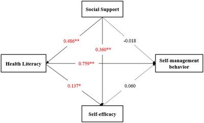 Pathway analysis of the impact of health literacy, social support and self-efficacy on self-management behaviors in pregnant women with gestational diabetes mellitus